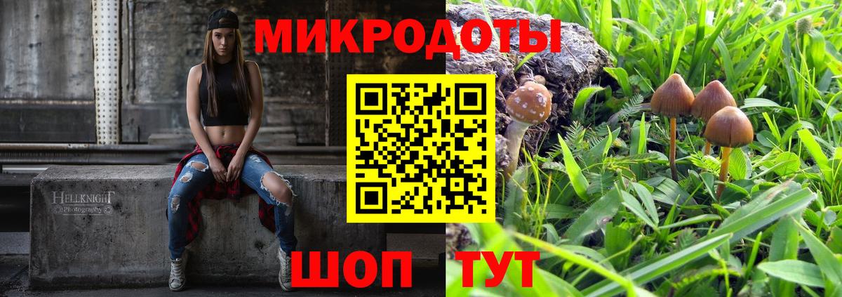 Ликино-Дулёво  Галлюциногенные грибы Psilocybine cubensis  Вход с VPN  Псилоцибиновые грибы Psilocybe 